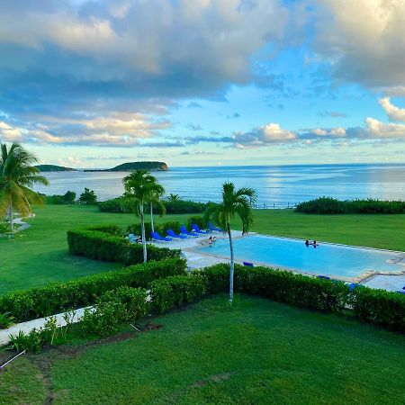 Blue Horizon Boutique Resort (Adults Only) Vieques Kültér fotó