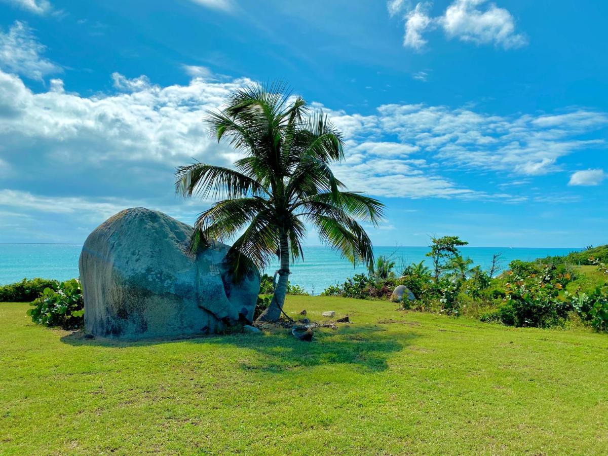 Blue Horizon Boutique Resort (Adults Only) Vieques Kültér fotó