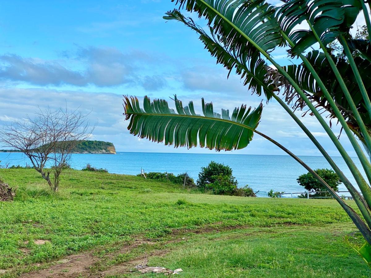 Blue Horizon Boutique Resort (Adults Only) Vieques Kültér fotó