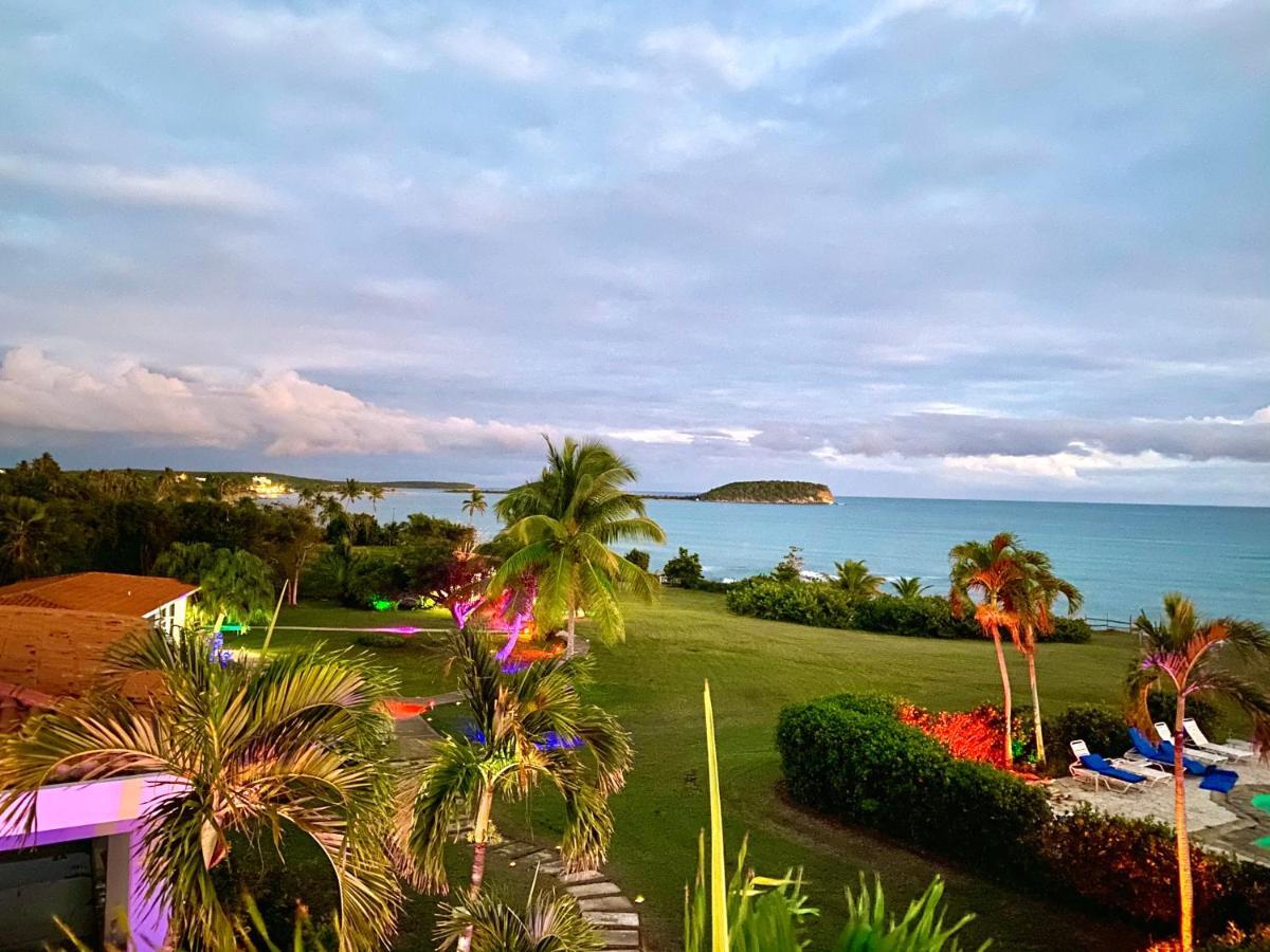 Blue Horizon Boutique Resort (Adults Only) Vieques Kültér fotó