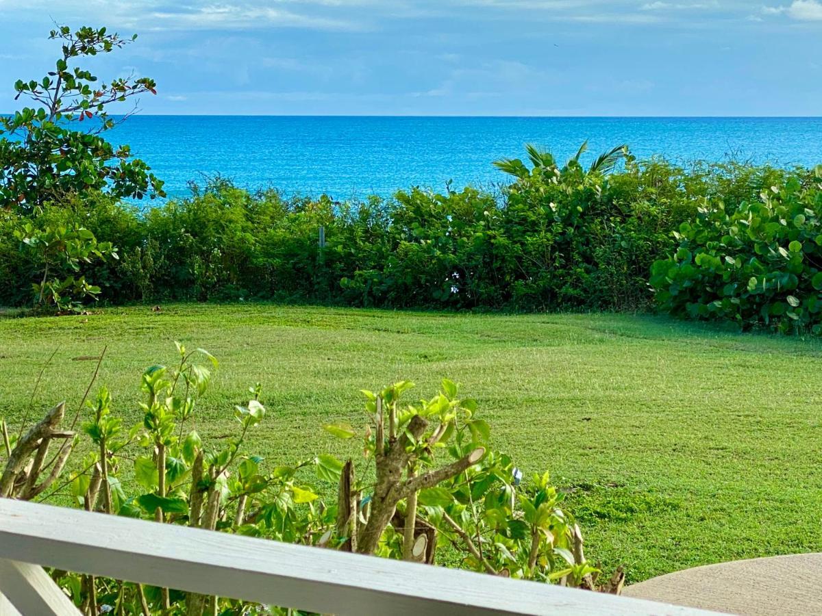 Blue Horizon Boutique Resort (Adults Only) Vieques Kültér fotó