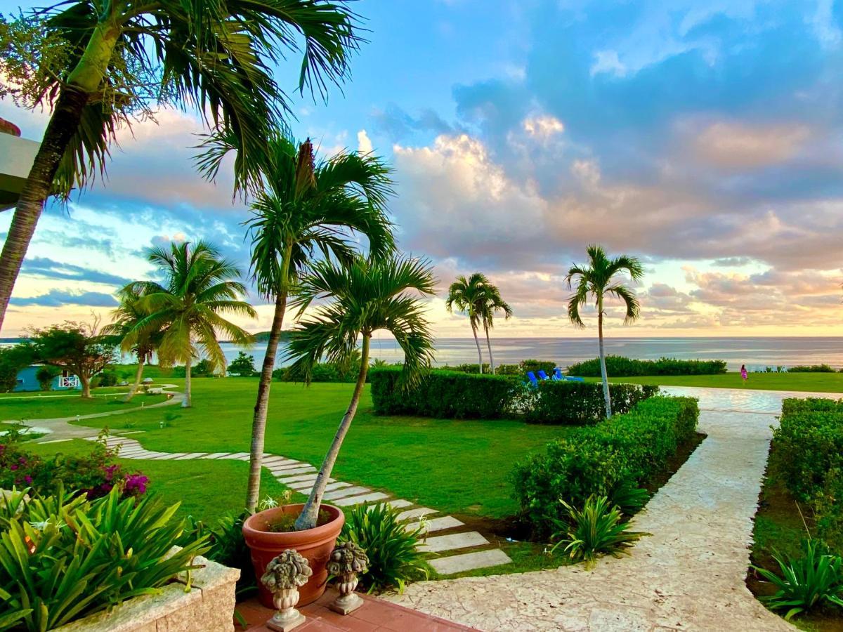 Blue Horizon Boutique Resort (Adults Only) Vieques Kültér fotó
