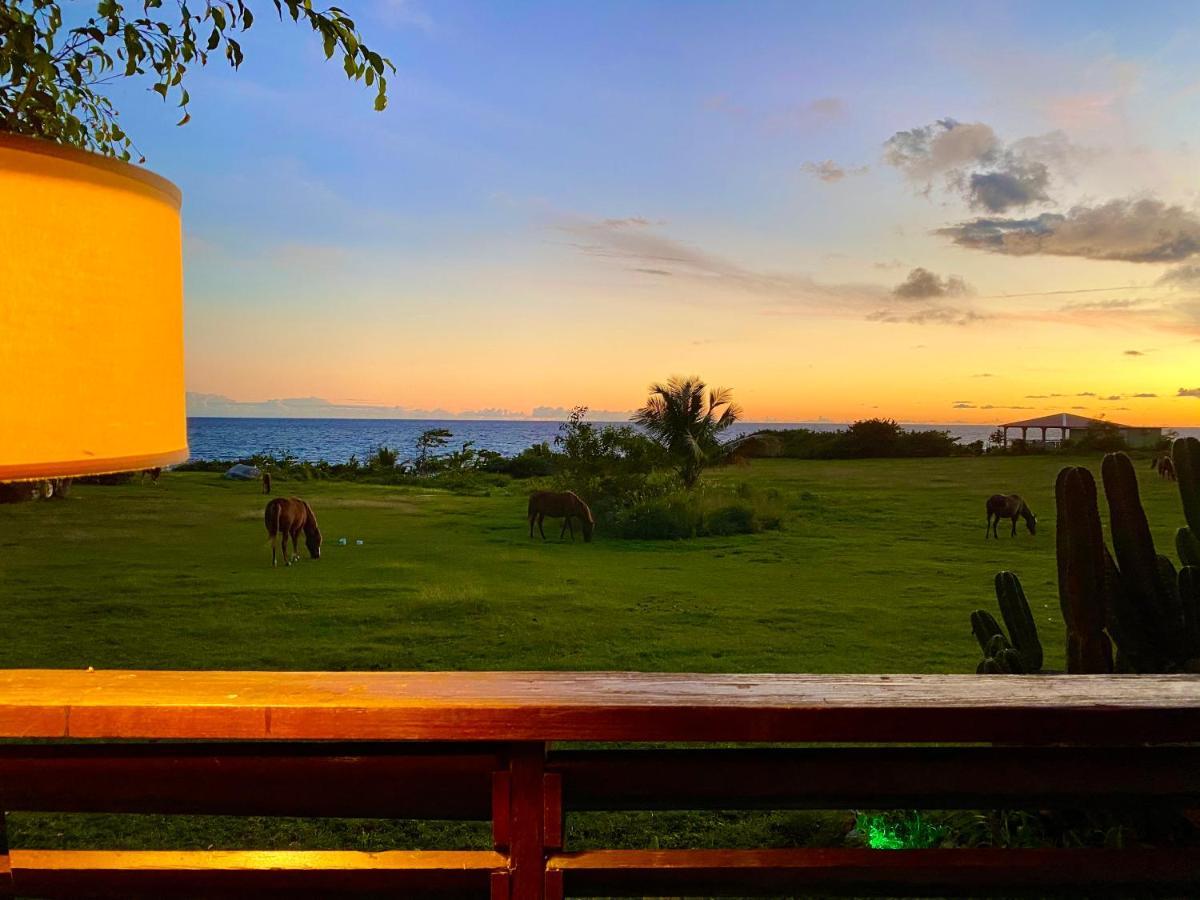 Blue Horizon Boutique Resort (Adults Only) Vieques Kültér fotó