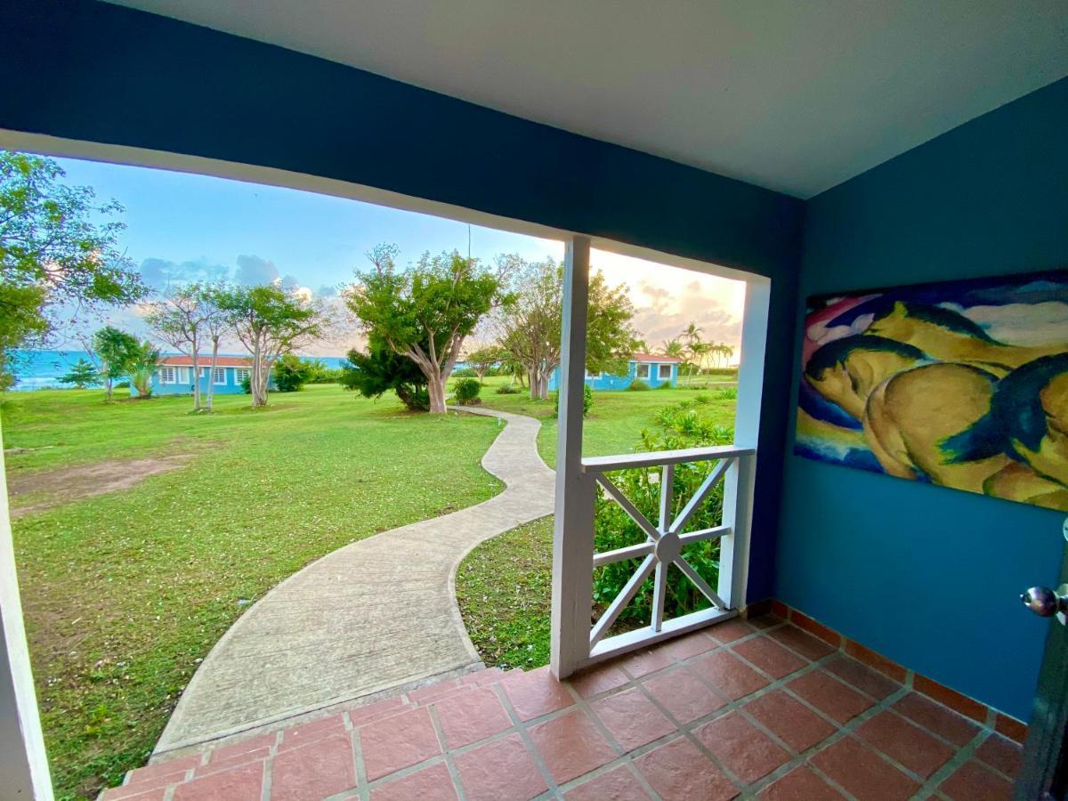 Blue Horizon Boutique Resort (Adults Only) Vieques Kültér fotó